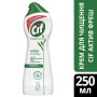 Крем для чищення кухні Cif Актив Фреш 250 мл (8717163044797)