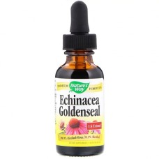 Трави Nature's Way Ехінацея і Гідрастіс, Echinacea Goldenseal, без спирту, 30 м (NWY-14663)