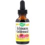 Трави Nature's Way Ехінацея і Гідрастіс, Echinacea Goldenseal, без спирту, 30 м (NWY-14663)