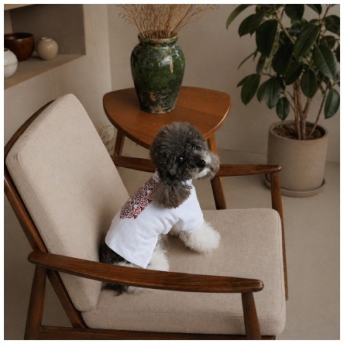 Футболка для тварин Pet Fashion Ukraine M (4823082446223)