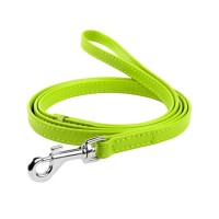 Повідець для собак WAUDOG Glamour шкіряний XXS салатовий (33705)