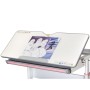 Парта Mealux Edmonton Multicolor Pink Lite (BD-610 W/MC + PN Lite)