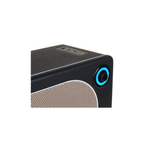 Комбопідсилювач Mooer Hornet 15i Black