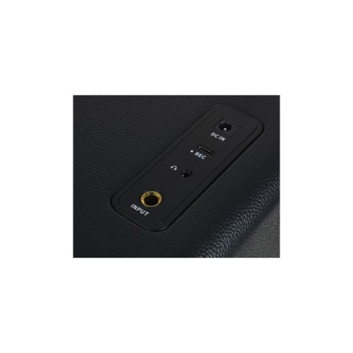 Комбопідсилювач Mooer Hornet 15i Black