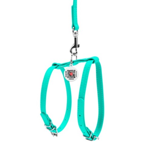 Шлея для собак WAUDOG Glamour з повідцем шкіряна Ш 9 мм А 20-30 см В 30-40 см ментолова (339913)