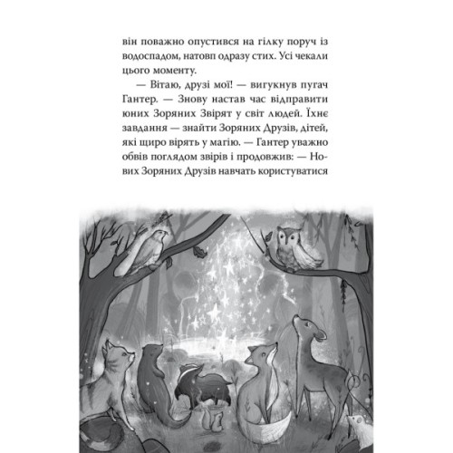 Книга Зоряні Друзі. Зачароване дзеркало. Книга 1 - Лінда Чепмен Видавництво РМ (9786178512750)