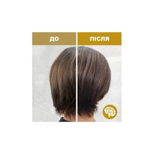 Шампунь SH-RD Reishi Volumizing Shampoo Для об'єму на основі рейші 200 мл (652418100294)