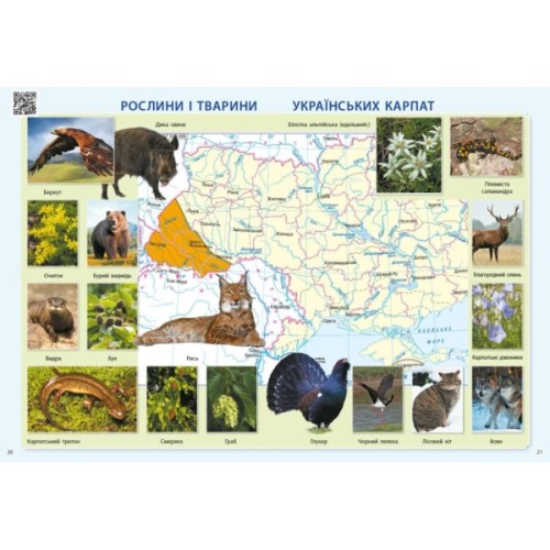 Атлас НУШ Я досліджую світ. 3 клас - О.В. Тагліна Ранок (9786170962454)