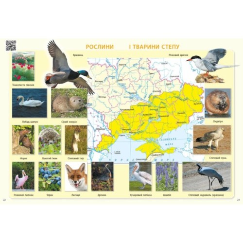 Атлас НУШ Я досліджую світ. 3 клас - О.В. Тагліна Ранок (9786170962454)