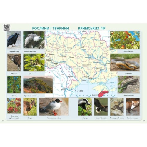 Атлас НУШ Я досліджую світ. 3 клас - О.В. Тагліна Ранок (9786170962454)