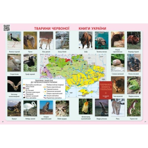 Атлас НУШ Я досліджую світ. 3 клас - О.В. Тагліна Ранок (9786170962454)