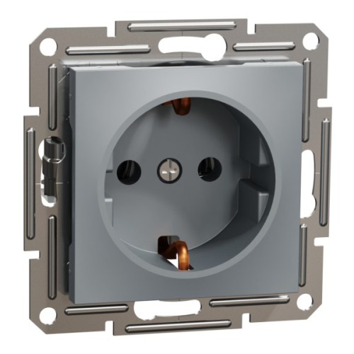Розетка Schneider Electric ASFORA сталь (EPH2900162)