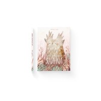 Книга День народження ялинки - Оксана Була Видавництво Старого Лева (9786176796183)