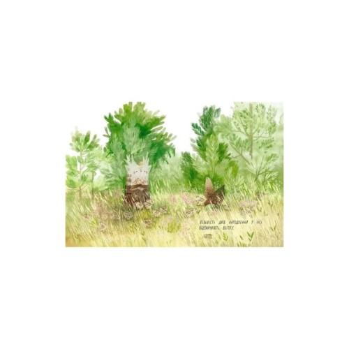 Книга День народження ялинки - Оксана Була Видавництво Старого Лева (9786176796183)