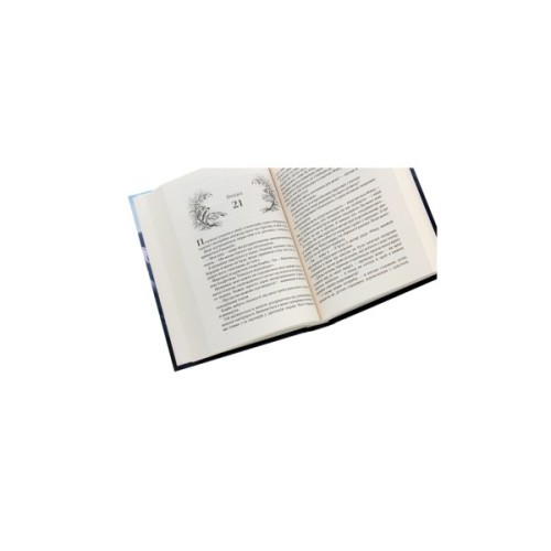 Книга Королева порожнечі - Голлі Блек Vivat (9789669822000)