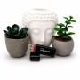 USB флеш накопичувач Wibrand 128GB Scarab Black USB 3.2 (WI3.2/SC128P11B)