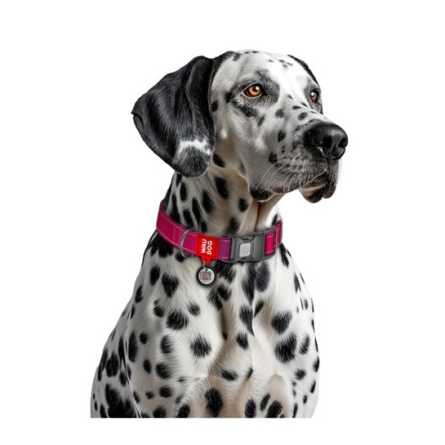 Нашийник для тварин WAUDOG Nylon Mono з QR паспортом, пластиковий фастекс M рожевий (52107)