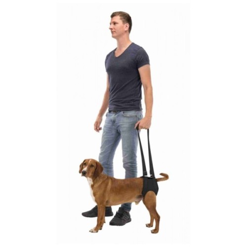 Шлея для собак Trixie Пояс підтримуючий неопреновий чорний M: 55 - 65 см (4053032407459)