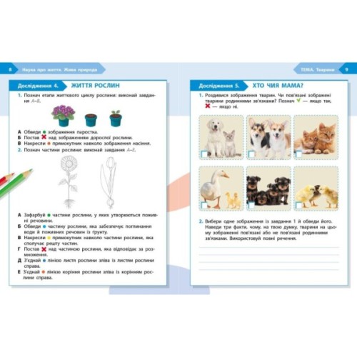 Робочий зошит STEM-старт. 3 клас. Наука про життя - І.В. Потапенко, О.А. Дубовик, О.В. Онопрієнко Ранок (9786170995506)