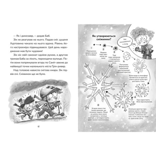 Книга Зік - погодний ґік. Порятунок ящірки від хуртовини - Джоан Аксельрод-Контрада, Енн Маласпіна Видавництво Старого Лева (9789664483510)