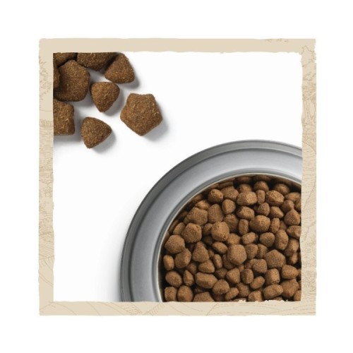 Сухий корм для собак Purina Dog Chow Adult Lamb зі смаком ягняти 14 кг (7613034487636)