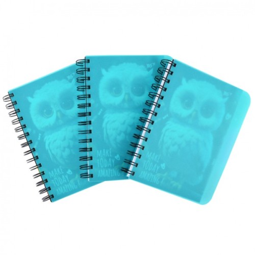 Блокнот Yes В6 Owl 144 аркуша пластикова обкладинка (681993)