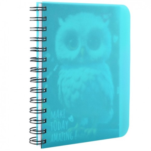 Блокнот Yes В6 Owl 144 аркуша пластикова обкладинка (681993)