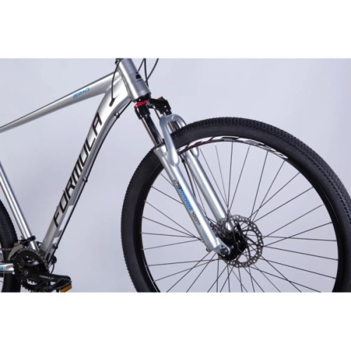 Велосипед Formula 29" ZEPHYR 3.0 DD CS рама-21" AL 2026 срiблястий (OPS-FR-29-446)