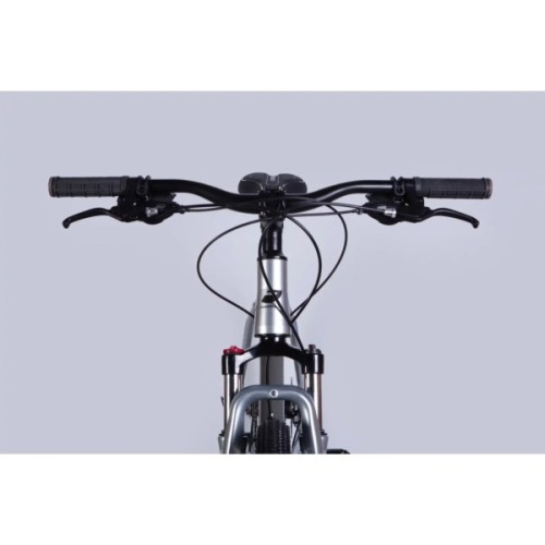 Велосипед Formula 29" ZEPHYR 3.0 DD CS рама-21" AL 2026 срiблястий (OPS-FR-29-446)