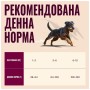 Сухий корм для собак Carnilove Active Salmon & Turkey Small Breed 4 кг (8595602581283)