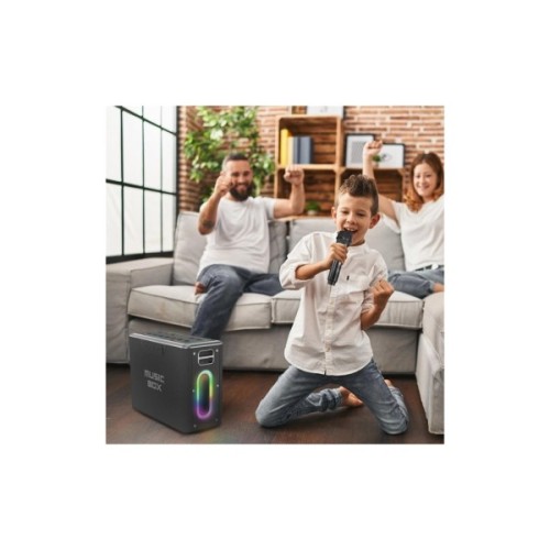 Акустична система HiFuture MusicBox Black (musicbox.black)