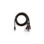 Інсертний кабель D'Addario Custom Series 1/8" to Dual XLR Audio Cable (1.8m) (PW-MPXLR-06)