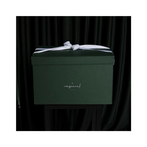 Ковдра MirSon Набір №10002 Imperial Brilliance Ковдра всесезонна Євро 200х220 Гусячий пух + Дві подушки 50х70 (2200010810653)