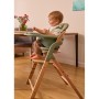 Стілець для годування Lionelo MEGAN GREEN WOOD (LO-MEGAN GREEN WOOD)