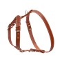 Шлея для собак Collar одинарна для малих та середніх порід Ш 20 мм А:40-56 см В:57-65 см коричнева (06366)