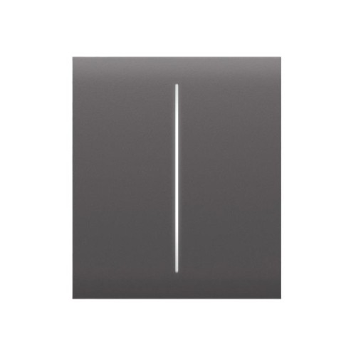 Накладна панель Ajax CenterButton 2-gang/grey