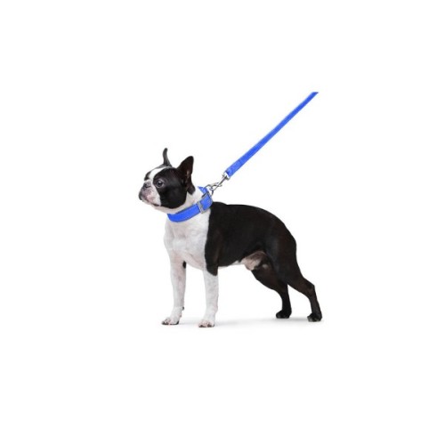 Повідець для собак Dog Extreme з нейлону подвійний Ш 20 мм Д 122 см блакитний (42982)