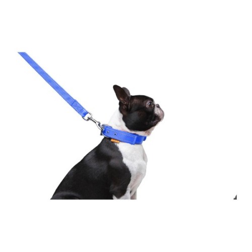 Повідець для собак Dog Extreme з нейлону подвійний Ш 20 мм Д 122 см блакитний (42982)