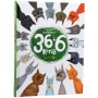 Книга 36 і 6 котів. Книга 1 - Галина Вдовиченко Видавництво Старого Лева (9786176791294)
