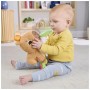 Розвиваюча іграшка Fisher-Price Капібара (HYR54)