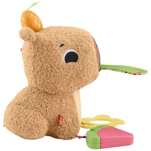 Розвиваюча іграшка Fisher-Price Капібара (HYR54)