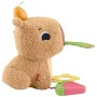 Розвиваюча іграшка Fisher-Price Капібара (HYR54)