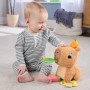 Розвиваюча іграшка Fisher-Price Капібара (HYR54)