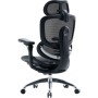Офісне крісло Sihoo C300 PRO V2, Black (C300-PRO-V2-B101)