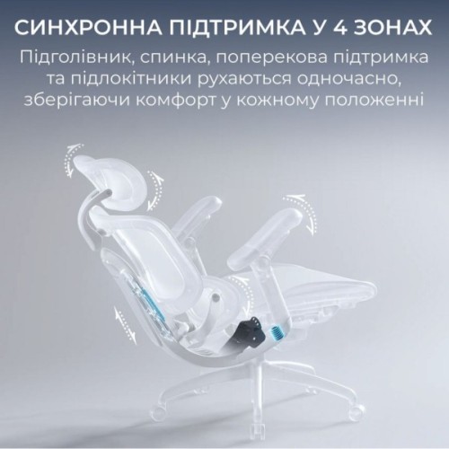 Офісне крісло Sihoo C300 PRO V2, Black (C300-PRO-V2-B101)