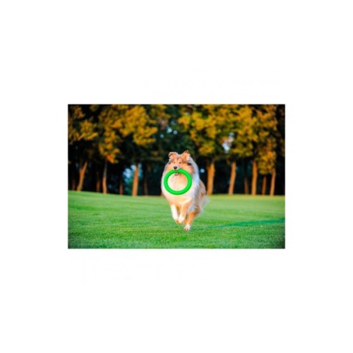 Іграшка для собак Collar PitchDog Кільце для апортування 28 см салатове (62385)