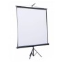 Проекційний екран Atria TRM-HD-110D