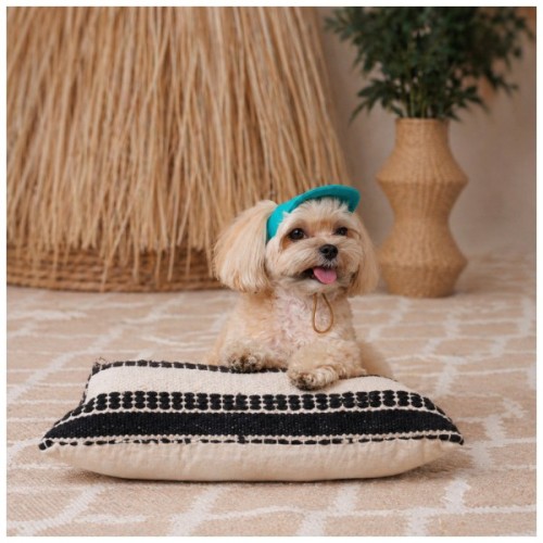Кепка для тварин Pet Fashion Topaz L (4823082445981)