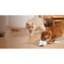 Іграшка для котів Cheerble Wicked Mouse Blue (CWJ03B)