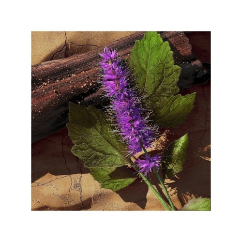 Туалетна вода Davidoff Zino 125 мл (3414202000534)